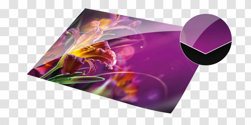 Photographic Paper Fujifilm Photography Color - Digital Data - Crystal Transparent PNG