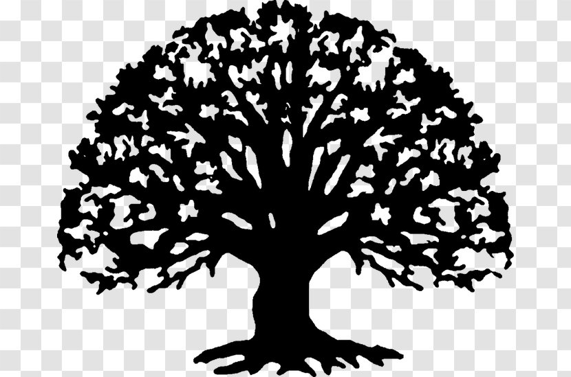 Family Reunion Tree Clip Art - Branch Transparent PNG