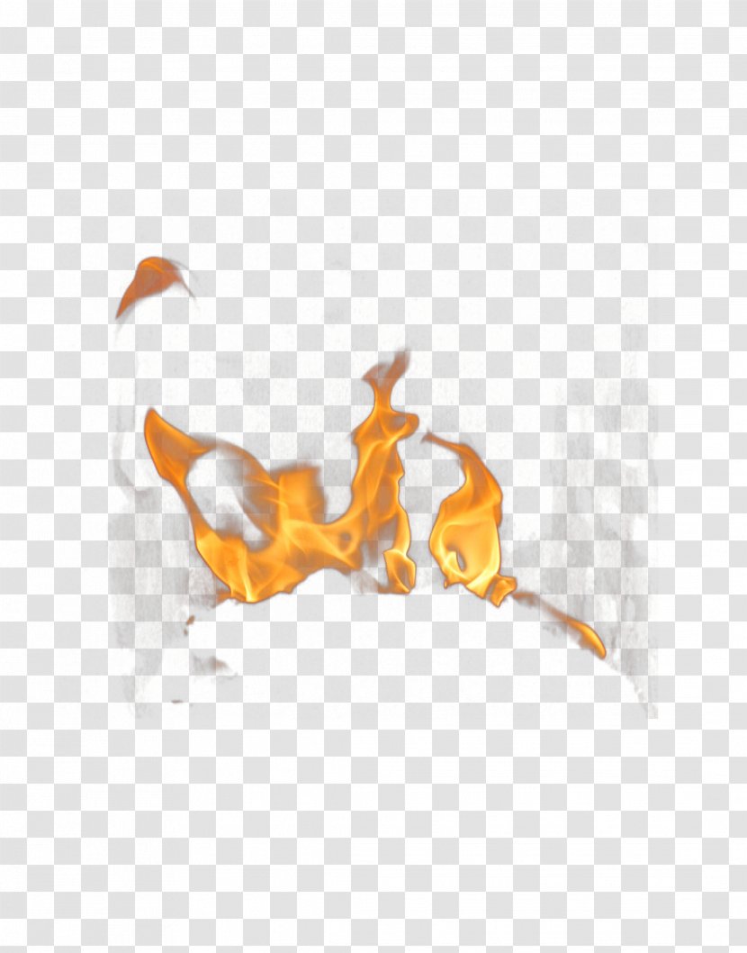 Fire Flame Clip Art - Orange - Beautiful Flames Free Buckle Material Transparent PNG