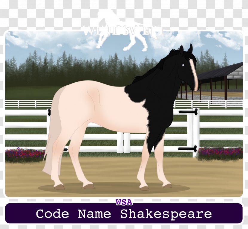 Stallion Mare Foal Colt Mustang - Shakespeare Macbeth Painting Transparent PNG