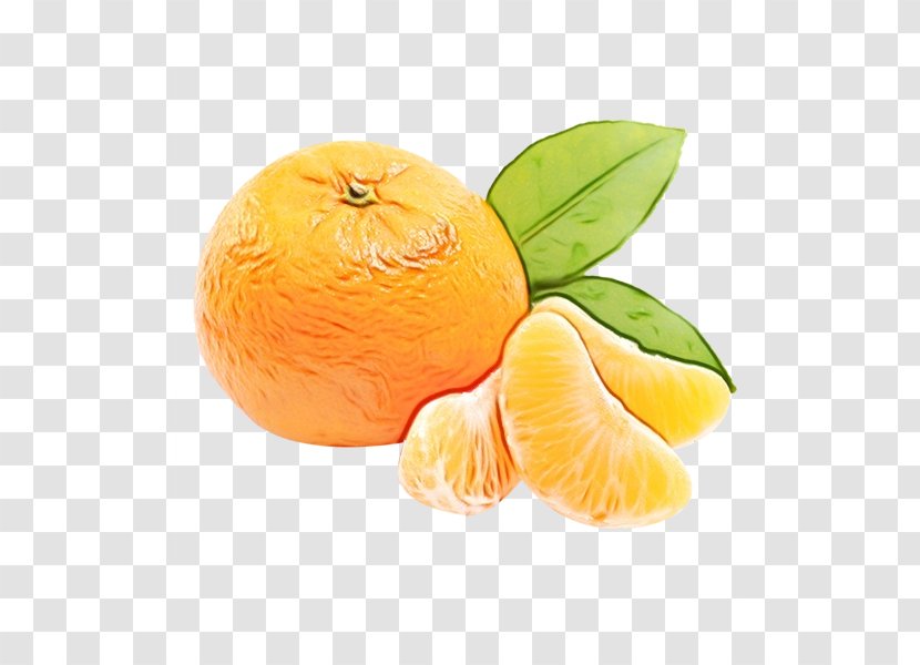 Lemon Juice - Citrus - Lime Pomelo Transparent PNG