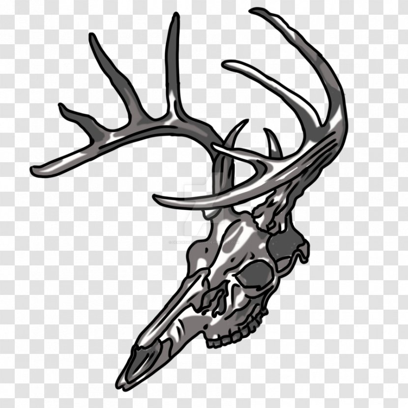 Antler Deer Art Bone Skull - Artist Transparent PNG