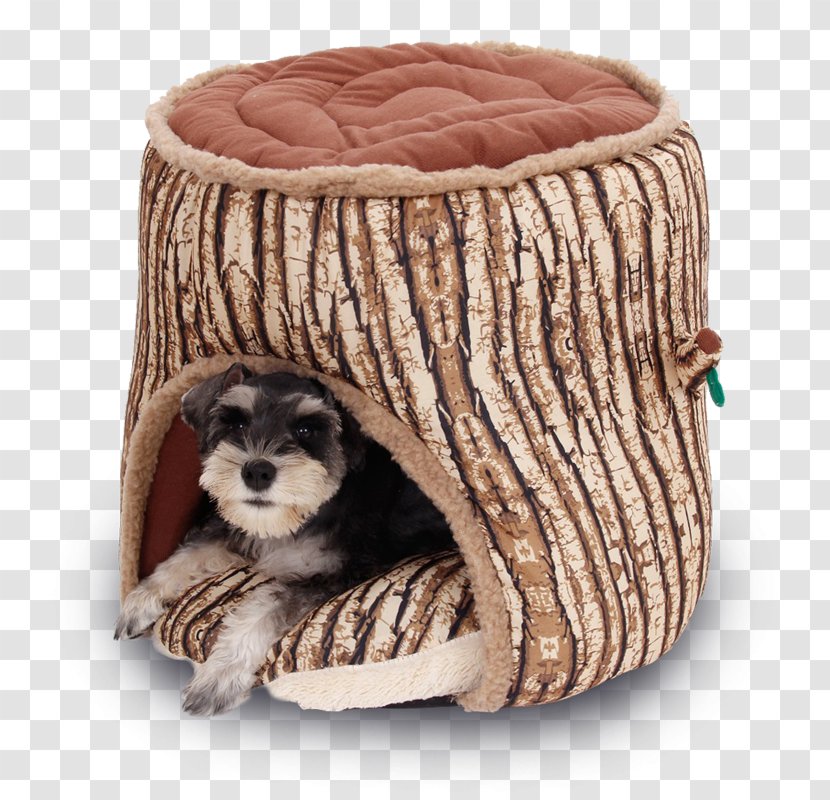 Dog Daycare Cat Kennel Pet - Wooden Bed Plans Transparent PNG