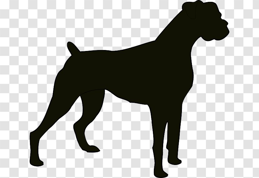 Boxer Jack Russell Terrier English Cocker Spaniel Puppy Clip Art - Carnivoran Transparent PNG