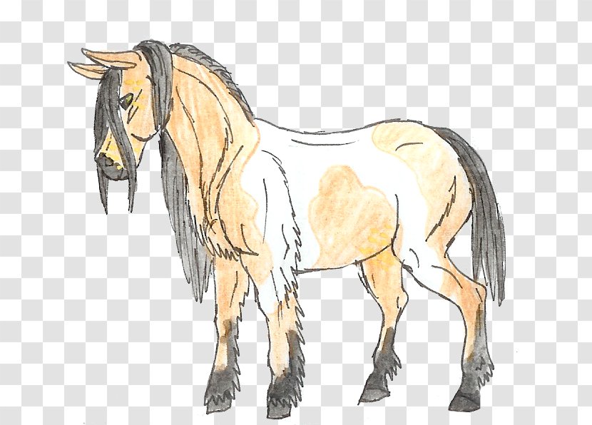 Mule Foal Stallion Mare Colt - Bridle - Mustang Transparent PNG