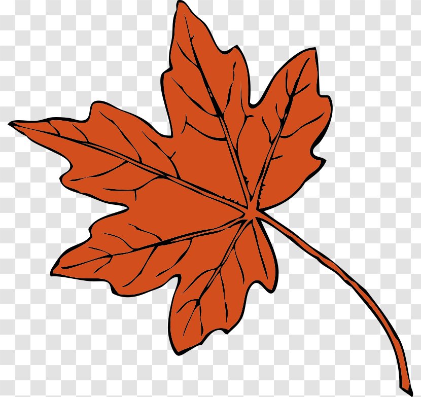 Maple Leaf Clip Art - Autumn - Helping Hands Clipart Transparent PNG