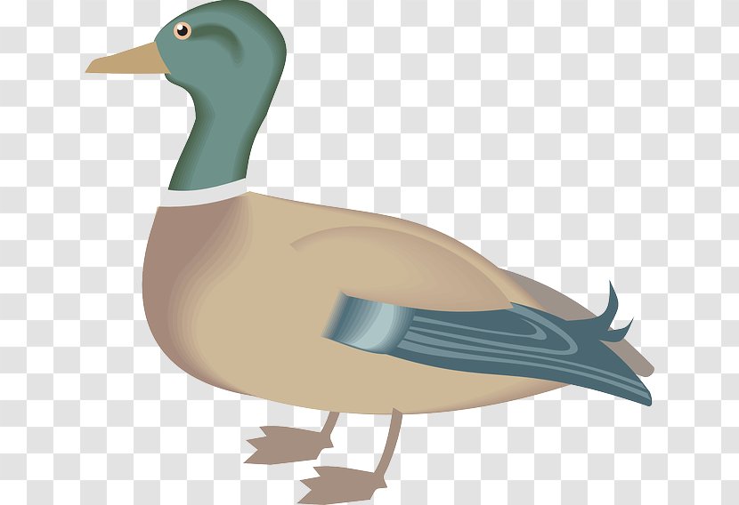 Donald Duck Clip Art - Water Bird Transparent PNG