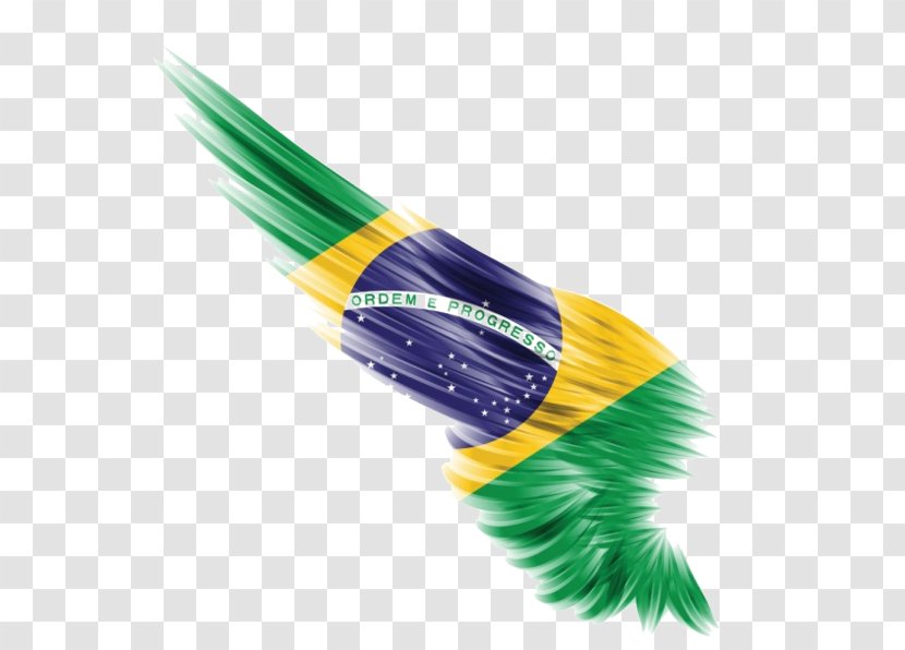 Brazilian Carnival In Rio De Janeiro Dance Tumbao - Rhythm - Flag Feather Transparent PNG