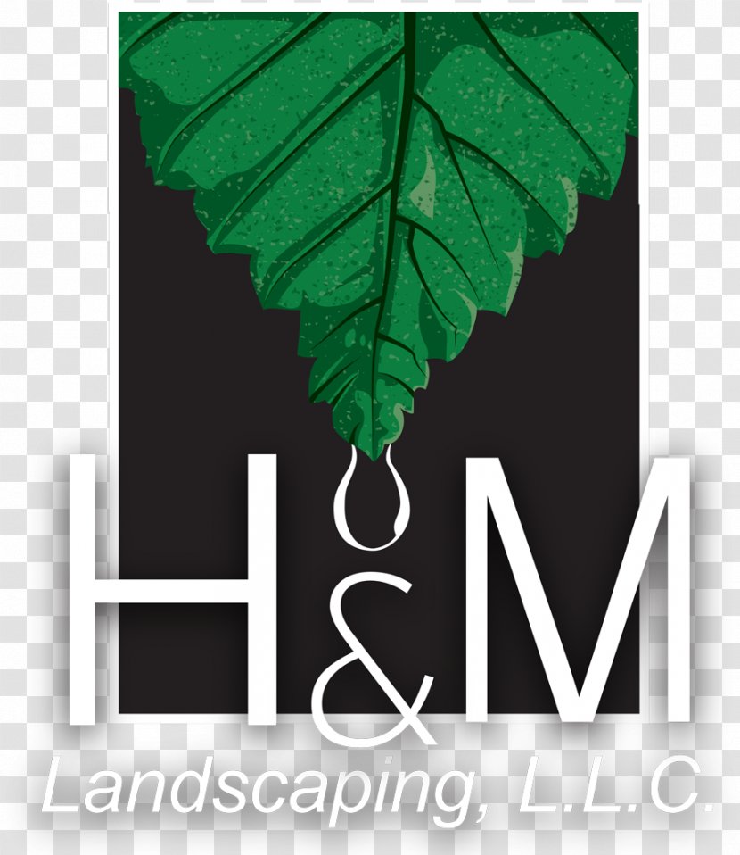 H&M Landscaping Art - Logo - Design Transparent PNG