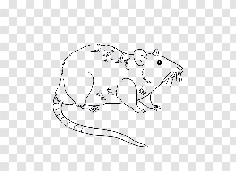 Drawing Laboratory Rat Mouse Brown - Flower - Ming Piece Simple Shading Transparent PNG