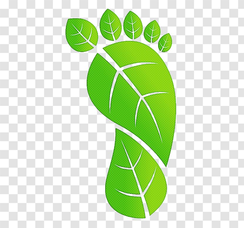 Green Leaf Plant Symbol Logo Transparent PNG