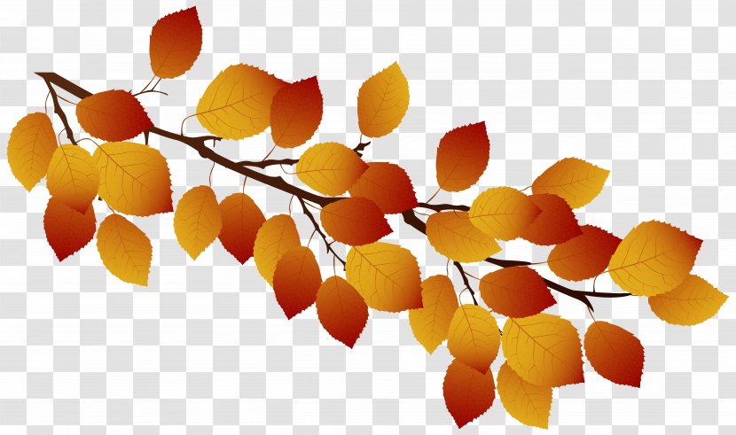 Vector Graphics Stock Illustration Photography Autumn - Leaf - Branch Symbol Transparent PNG