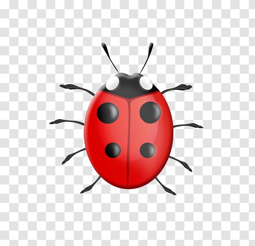 Ladybird Child Drawing Clip Art - Insect Transparent PNG