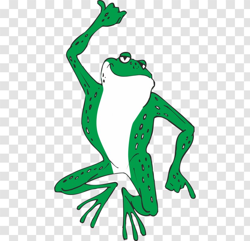 Frog - Vertebrate - Green Transparent PNG