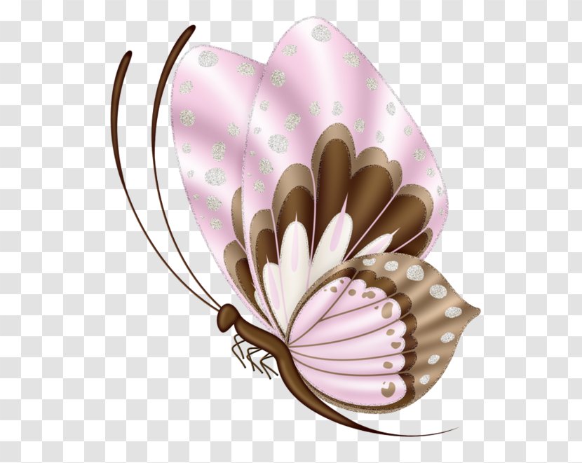 Butterfly Paper Clip Art - Invertebrate - Pink Transparent PNG