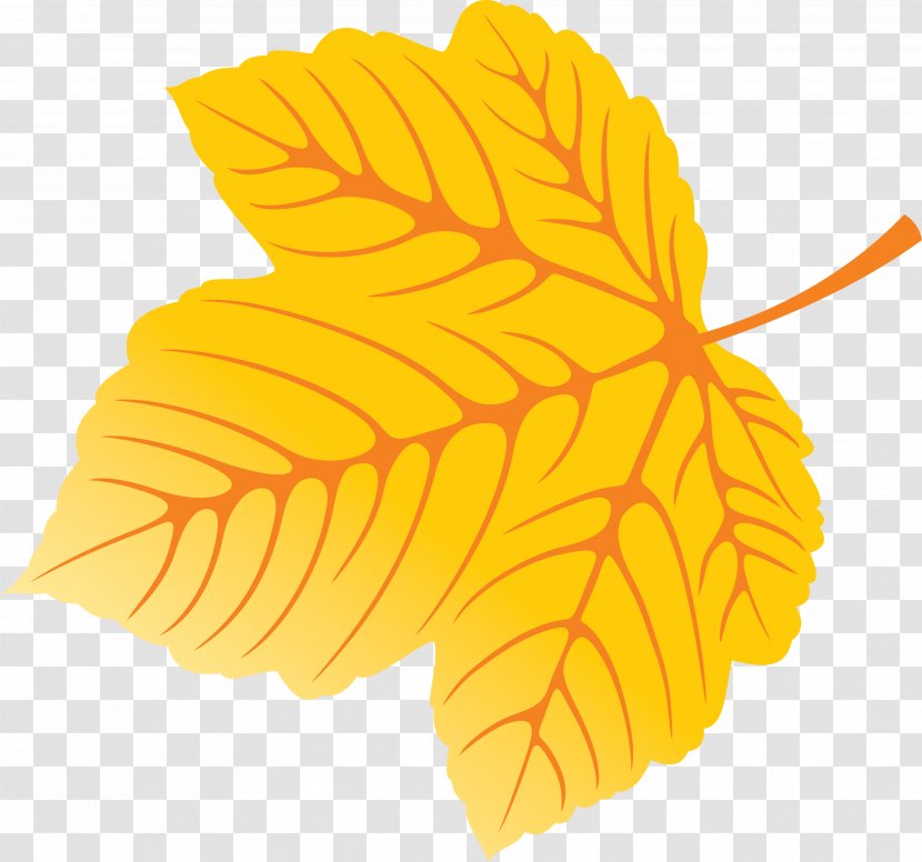 Leaf Petal Flower Plant Fruit - Leaves Transparent PNG