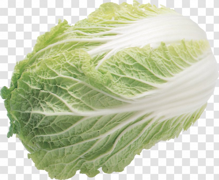 Salad Iceberg Lettuce Produce - Vegetable - Image Transparent PNG