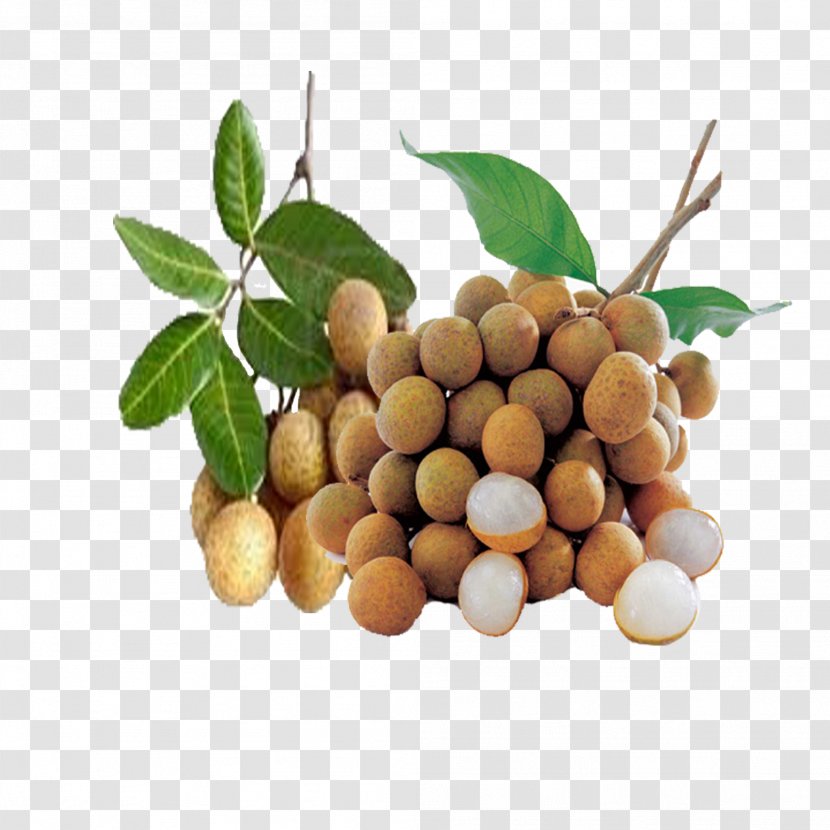 Thai Cuisine Longan Tropical Fruit Rambutan - Ingredient - Tree Transparent PNG