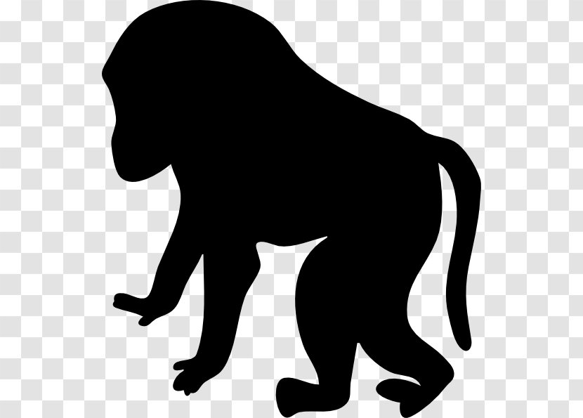 Macaque Primate Cercopithecidae Clip Art - Wildlife - Monkey Transparent PNG