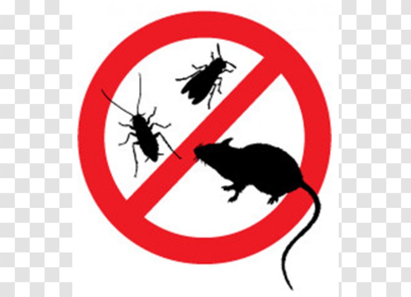 Cat Pest Control Vermin Integrated Management Insect - Mouse Trap Transparent PNG