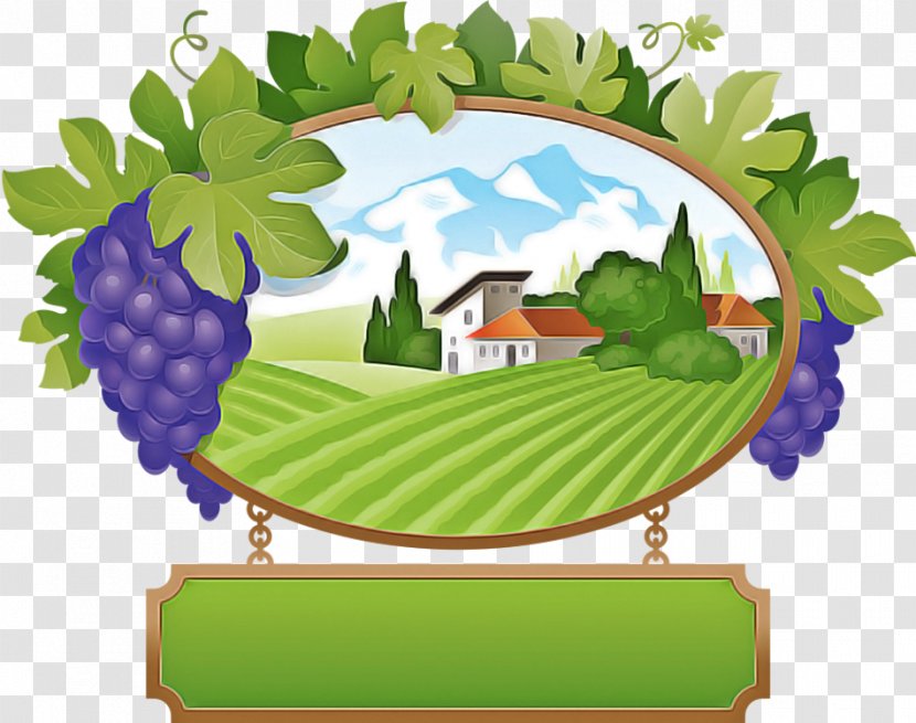 Grape Grapevine Family Leaf Plant Vitis Transparent PNG