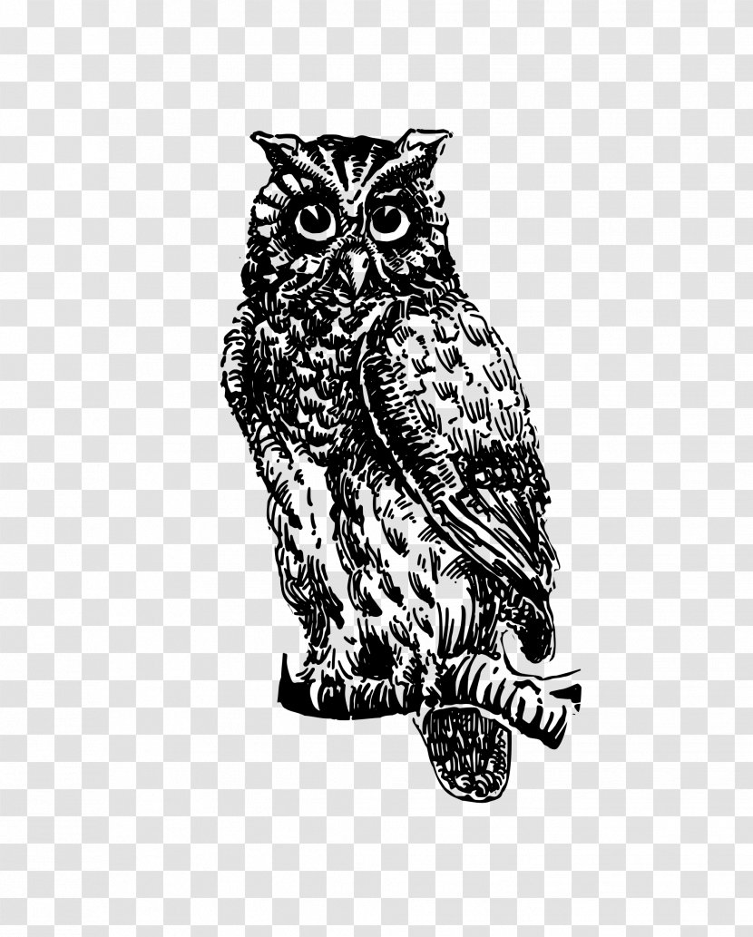 Owl The Picture-poetry Book Clip Art - Copyright - Creative Transparent PNG