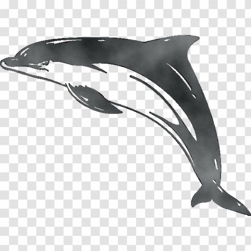 Common Bottlenose Dolphin Short-beaked White-beaked Tucuxi Rough-toothed - Wholphin - Shortbeaked Transparent PNG