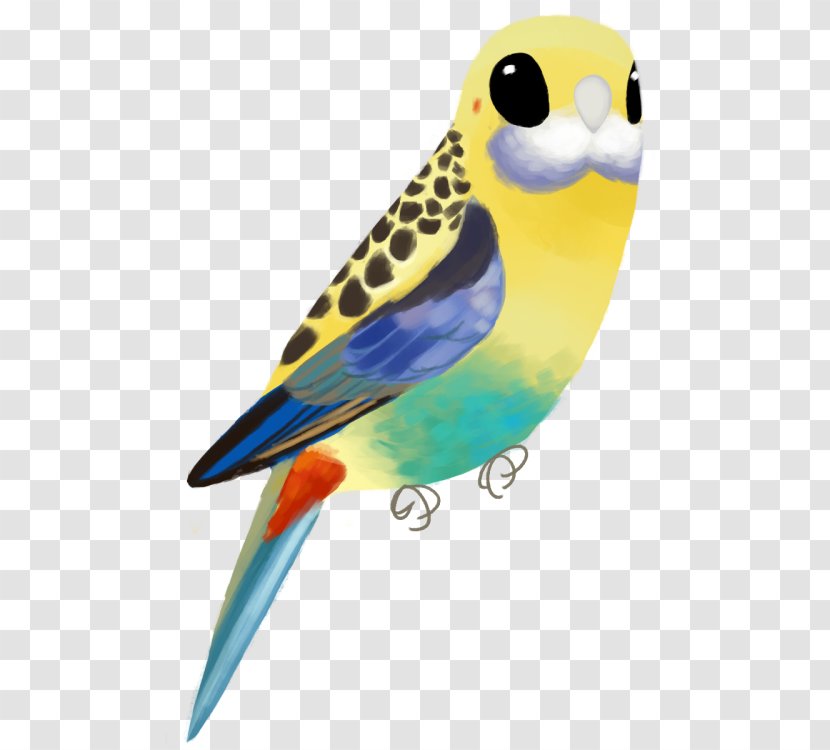 Parakeet Pale-headed Rosella Lovebird Macaw Base64 - Pet - Character Encoding Transparent PNG