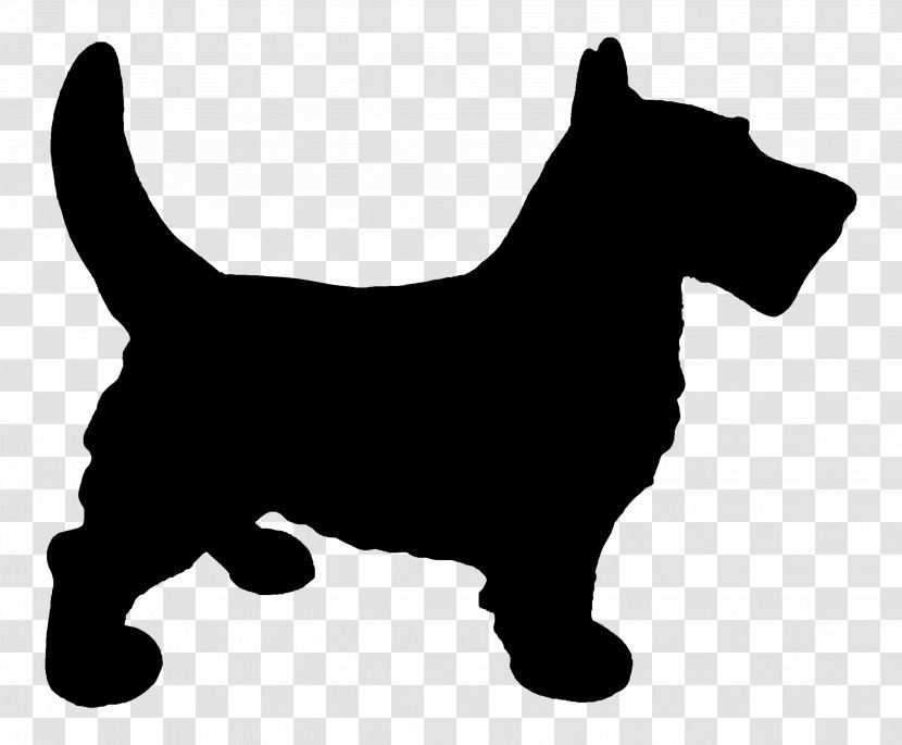 Scottish Terrier Cairn Puppy West Highland White Dog Breed - Snout Transparent PNG