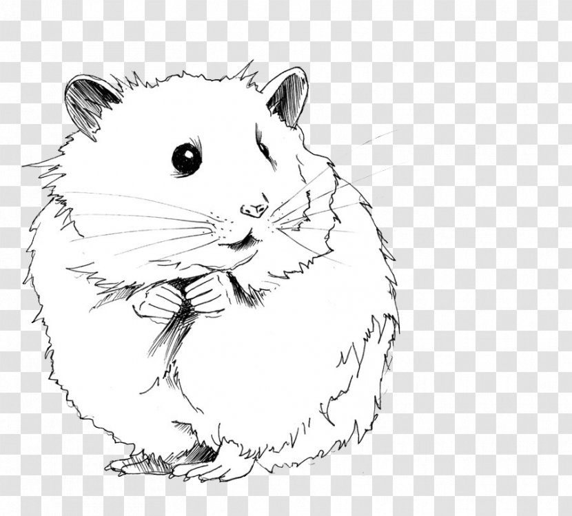 Gerbil Drawing Roborovski Hamster Wheel Clip Art - Mouse - Fauna Transparent PNG