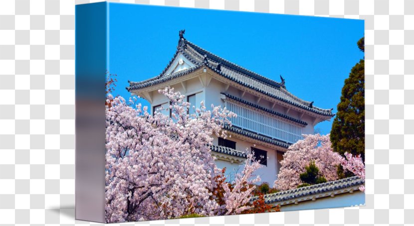 Cherry Blossom Facade Roof Historic Site Japan - Plant - Osaka Castle Transparent PNG