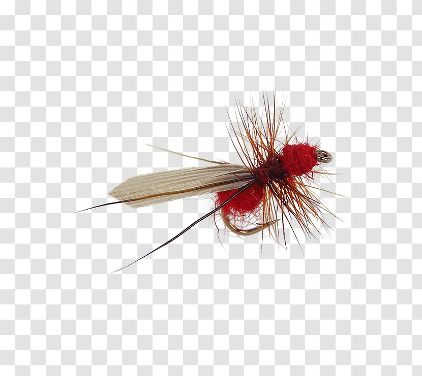 Artificial Fly Fishing Holly Flies Ant - Tying Transparent PNG