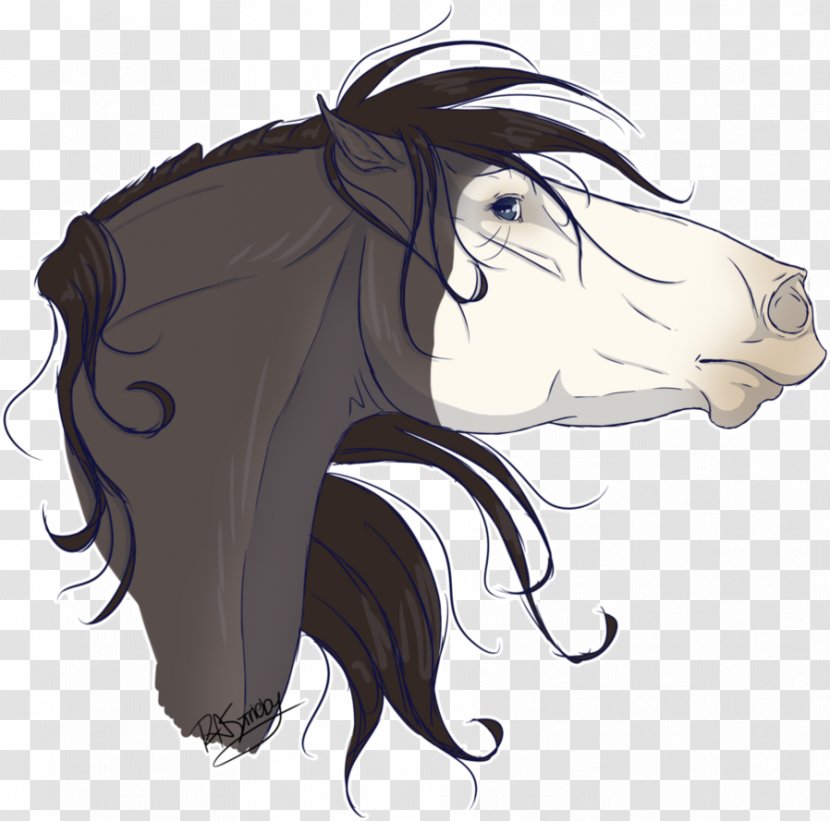 Mustang Cat Illustration Mammal Hair - Forehead - Professional Horse Head Portraits Transparent PNG