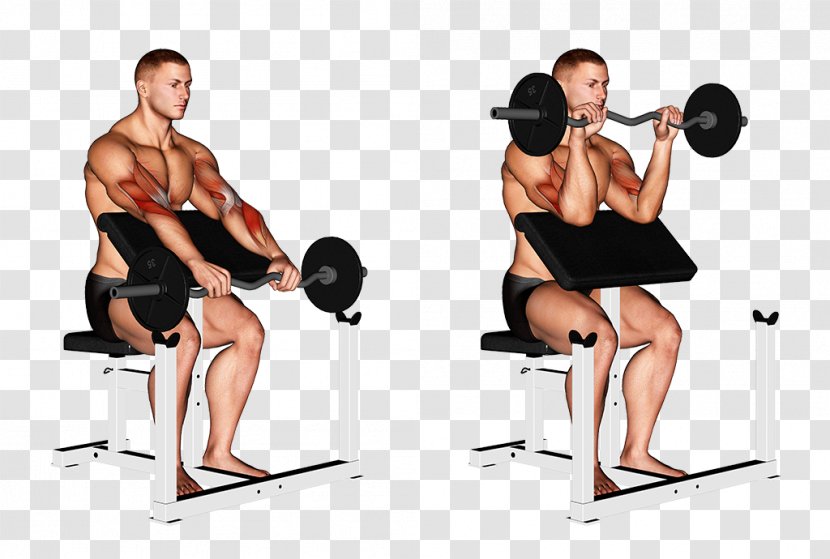 Wrist Weight Training Barbell Biceps Curl - Heart Transparent PNG