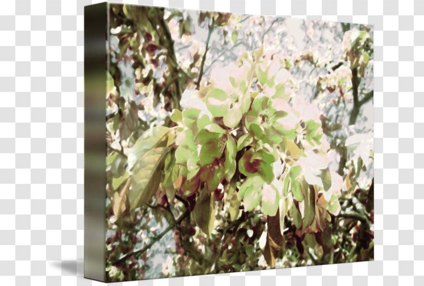 Twig Shrub Flower - Spring Transparent PNG