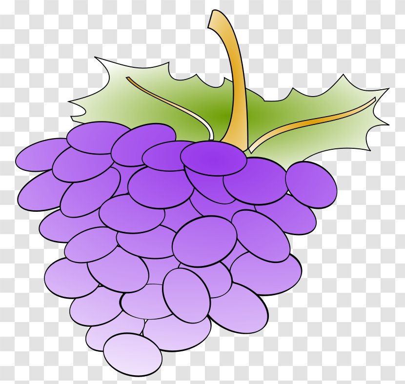 Common Grape Vine Leaves Clip Art - Juice - Grapevine Clipart Transparent PNG
