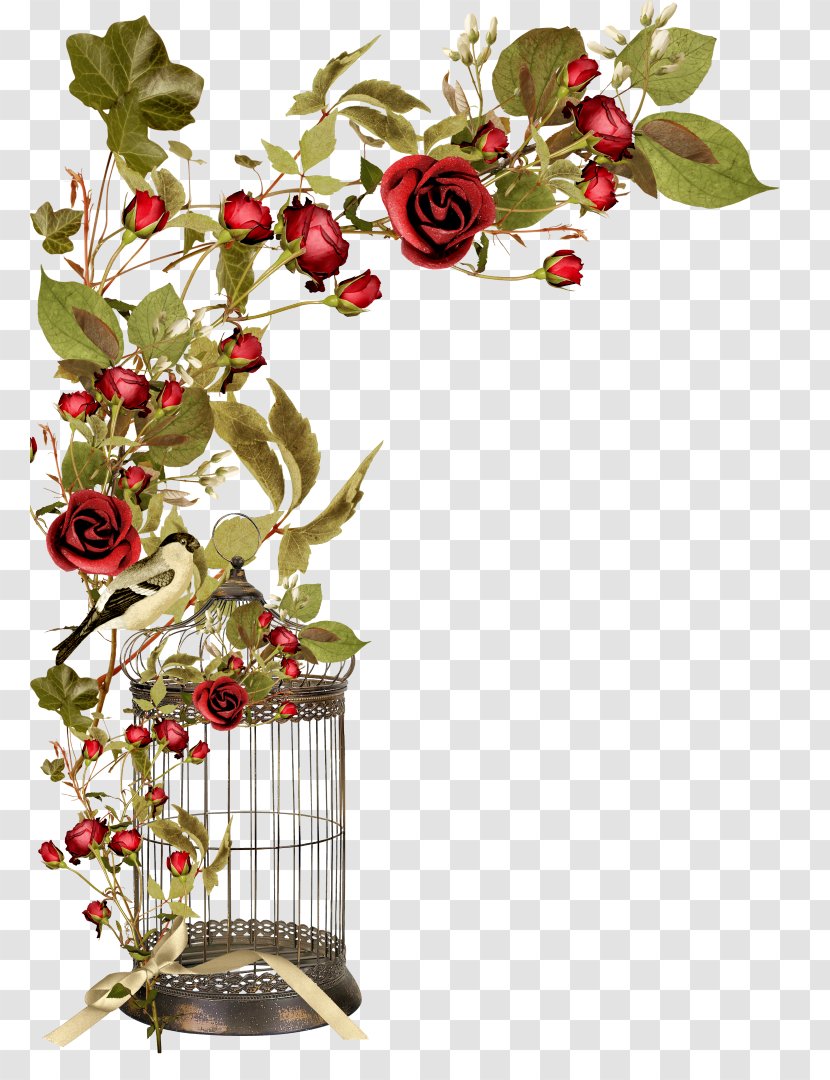 Birdcage - Flower Arranging - Paris Transparent PNG