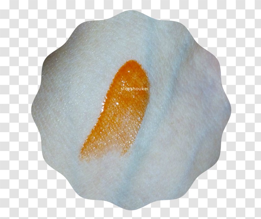 Seashell - Orange - ORIENTAL DELIGHTS Transparent PNG