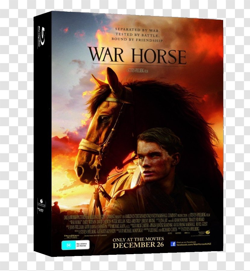 Steven Spielberg War Horse Albert Narracott Film Poster - David Kross Transparent PNG
