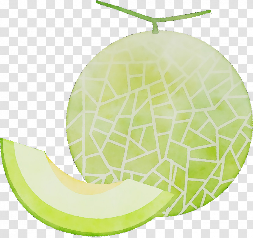 Melon Fruit Transparent PNG