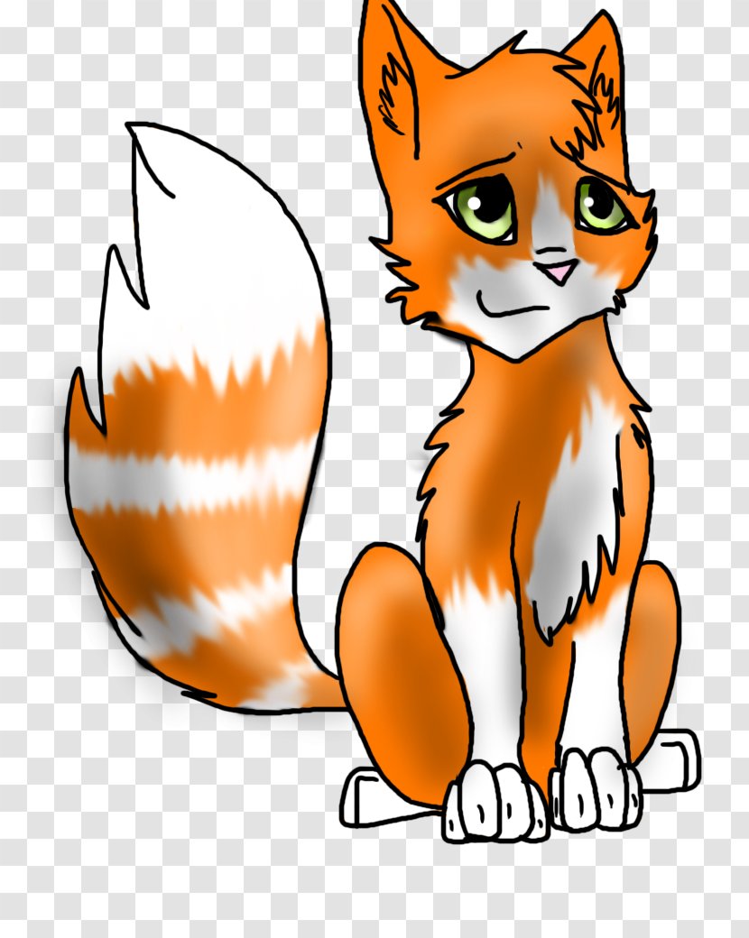 Whiskers Kitten Wildcat Red Fox - Small To Medium Sized Cats Transparent PNG