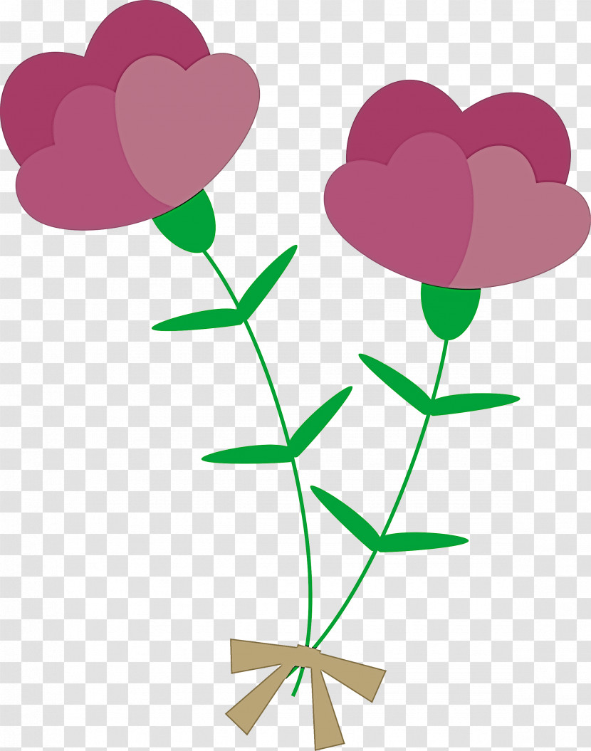 Mothers Day Carnation Mothers Day Flower Transparent PNG