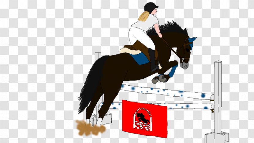 Show Jumping Stallion Hunt Seat Mustang Rein - Animal Sports - Horse Transparent PNG
