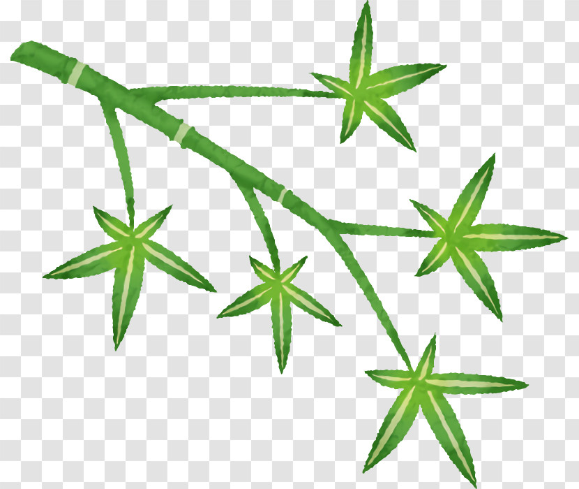 Plant Stem Hemp Leaf M-tree Line Transparent PNG