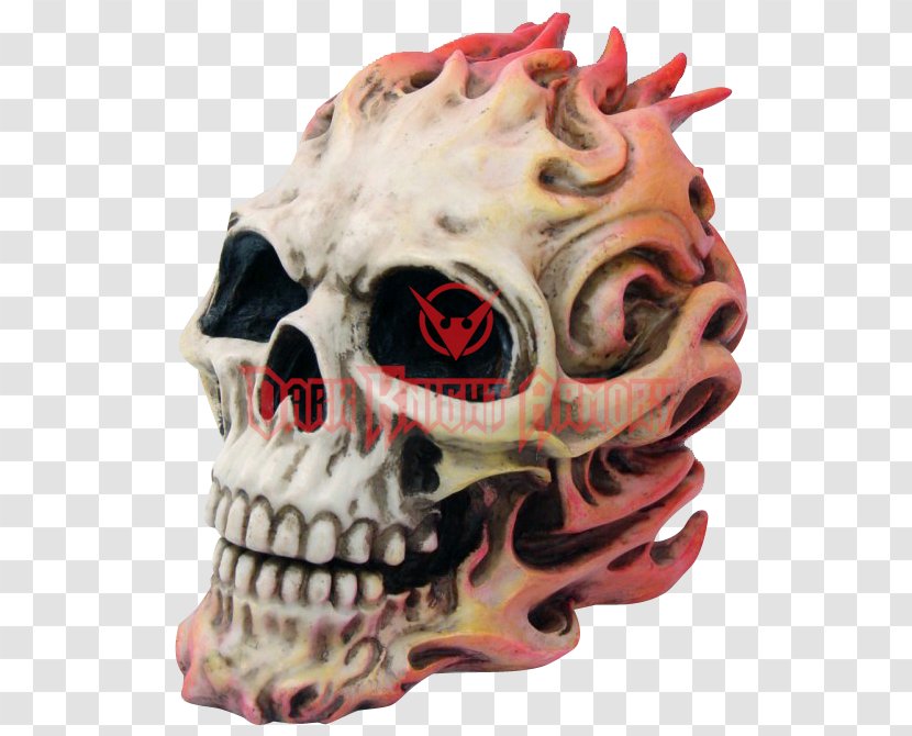 Skull Human Skeleton Jaw Bone - Eye Transparent PNG