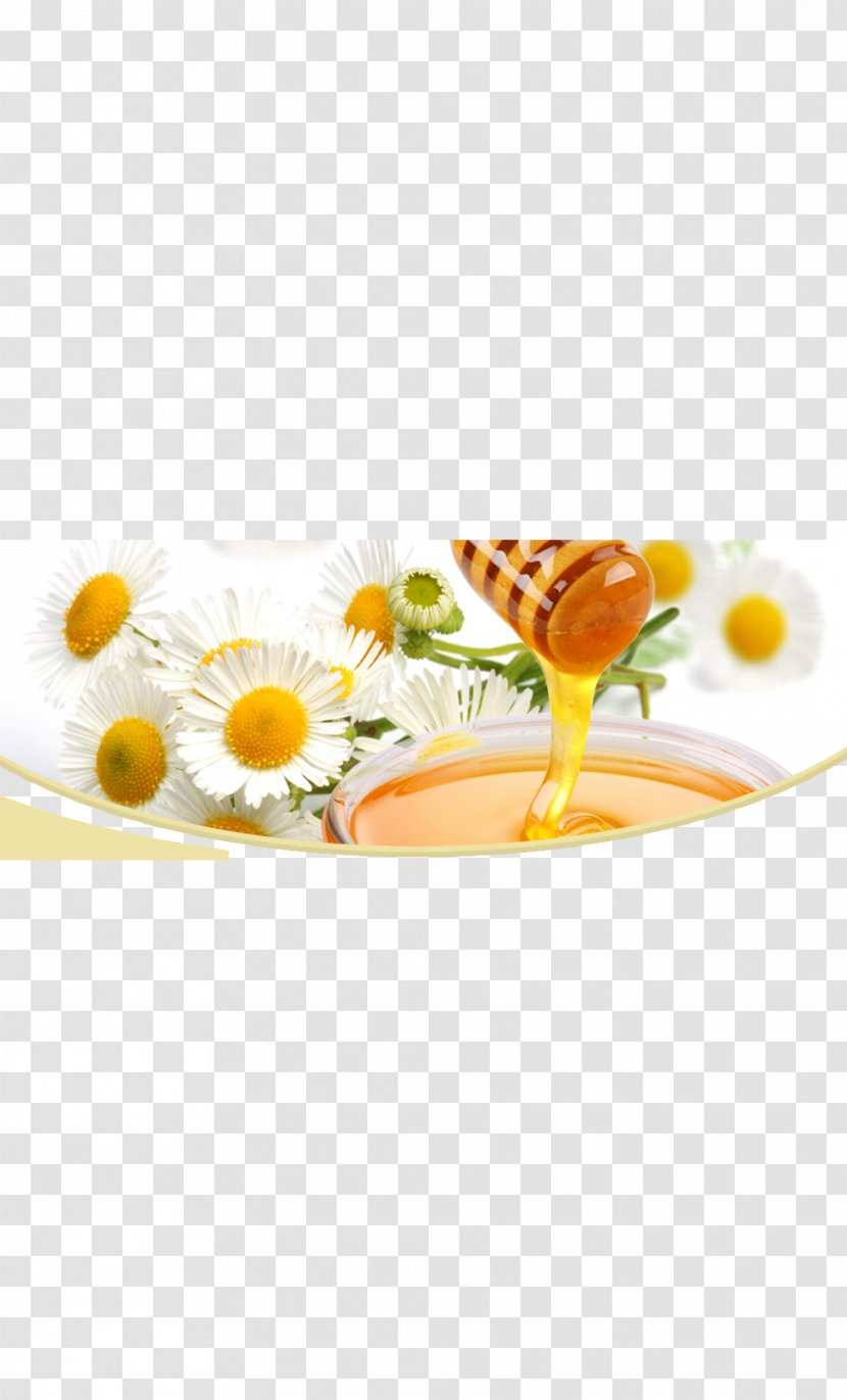 Honey Chamomile Frozen Yogurt Orange Juice Bee - Platter Transparent PNG