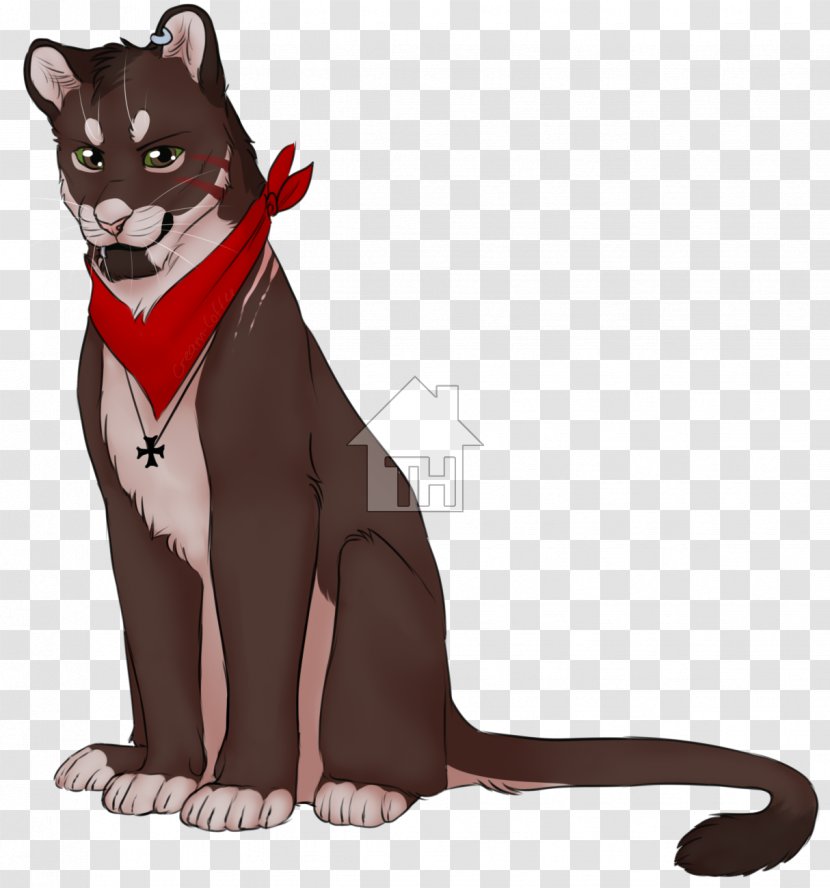 Whiskers Kitten Fur Character Transparent PNG