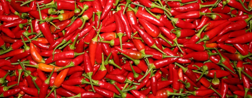 Kashmiri Cuisine Chili Pepper Capsicum Spice Agriculture - Vegetable Transparent PNG