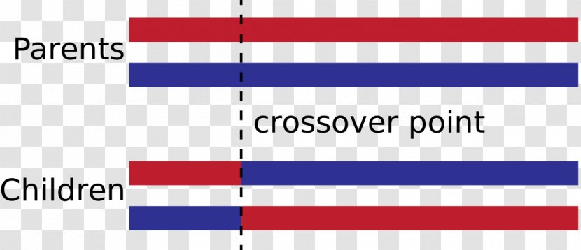 Point Crossover Genetic Algorithm Genetics - Organization Transparent PNG