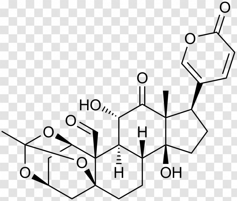 Steroid Hormone Pharmaceutical Drug Therapy Prodrug Chemistry - Technology Transparent PNG